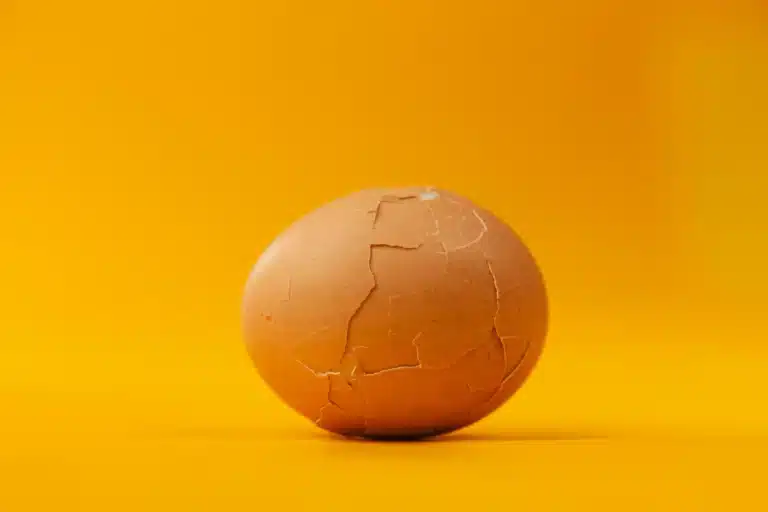Why are my Eggs Cracking More 7 Egg with a shell cracking